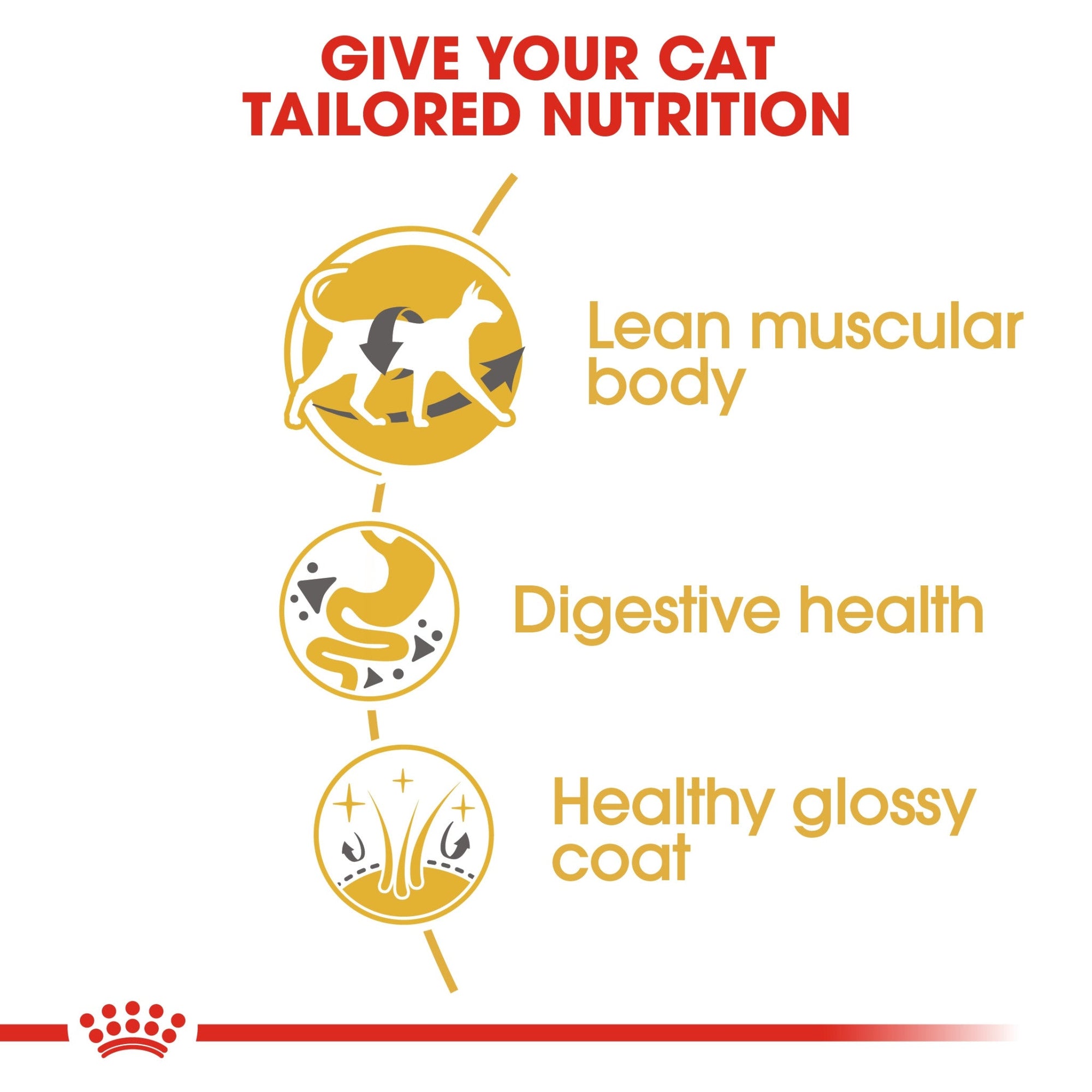 Feline Breed Nutrition Siamese Adult 2 kg