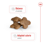 Size Health Nutrition Mini Adult 8+ 2 kg