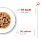 Size Health Nutrition Medium Adult (Wet Food - Pouches) 10 x 140 g