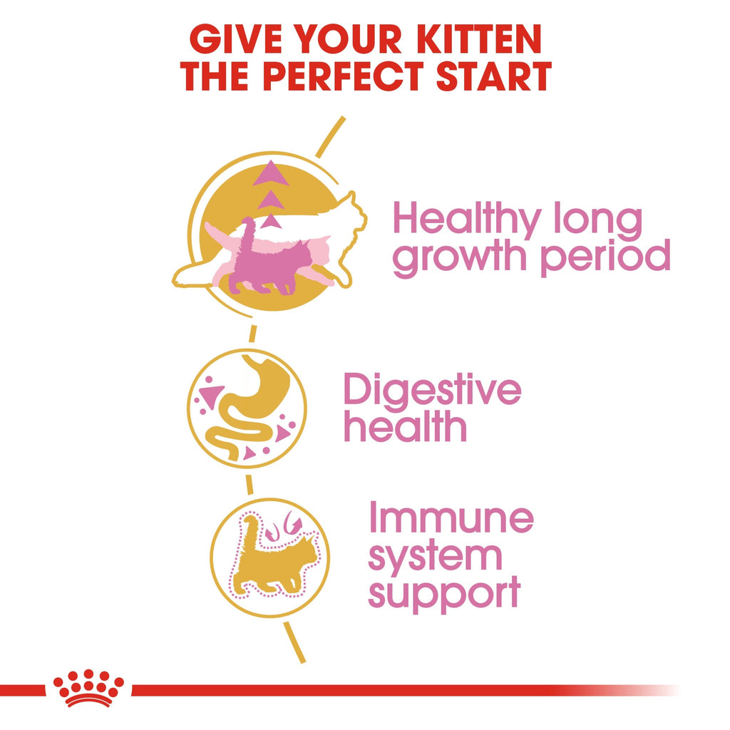 Feline Breed Nutrition Maine Coon Kitten 2 kg