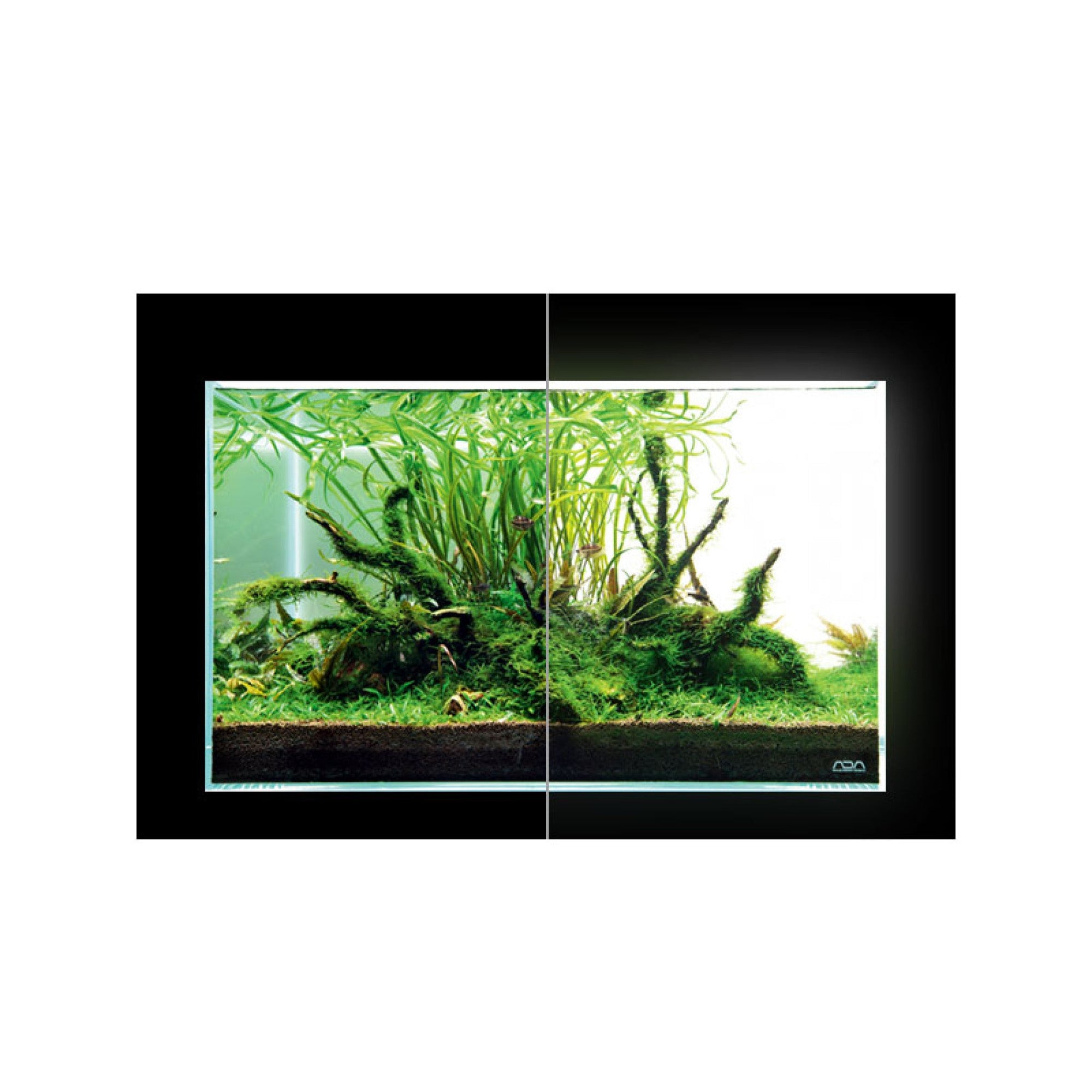 Light Screen 90 Type A plug