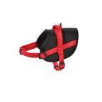 Easy Safe Harness