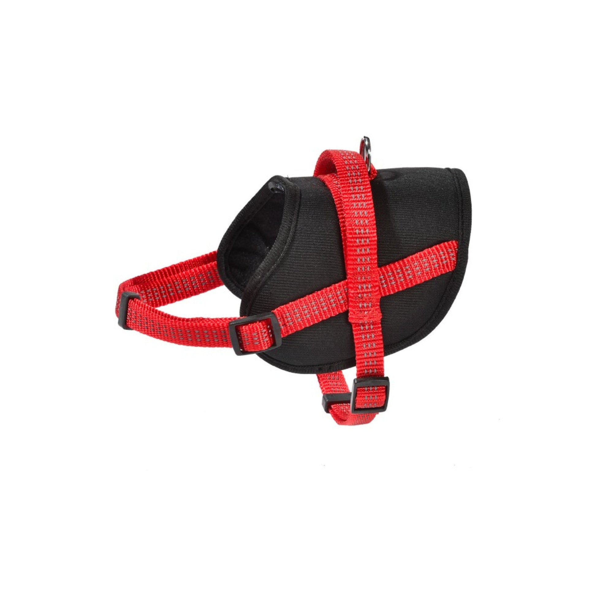 Easy Safe Harness