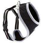 Arlequin Fancy Harness
