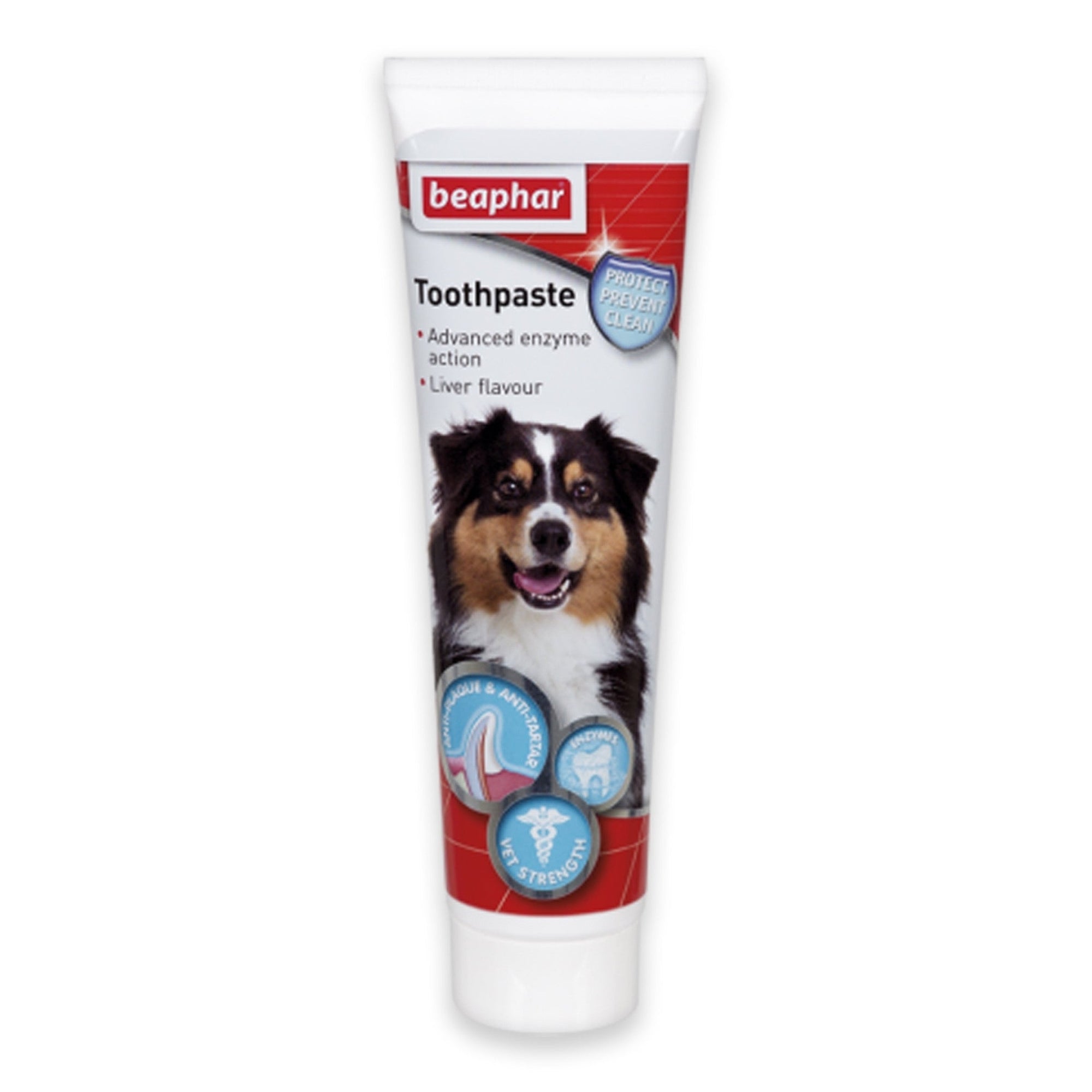 Toothpaste 100 g