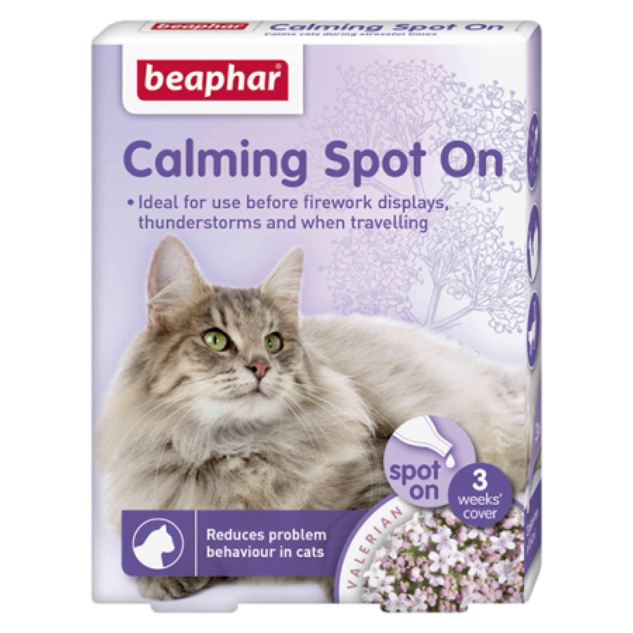 Calming Spot on Cat – Emirates pet food
