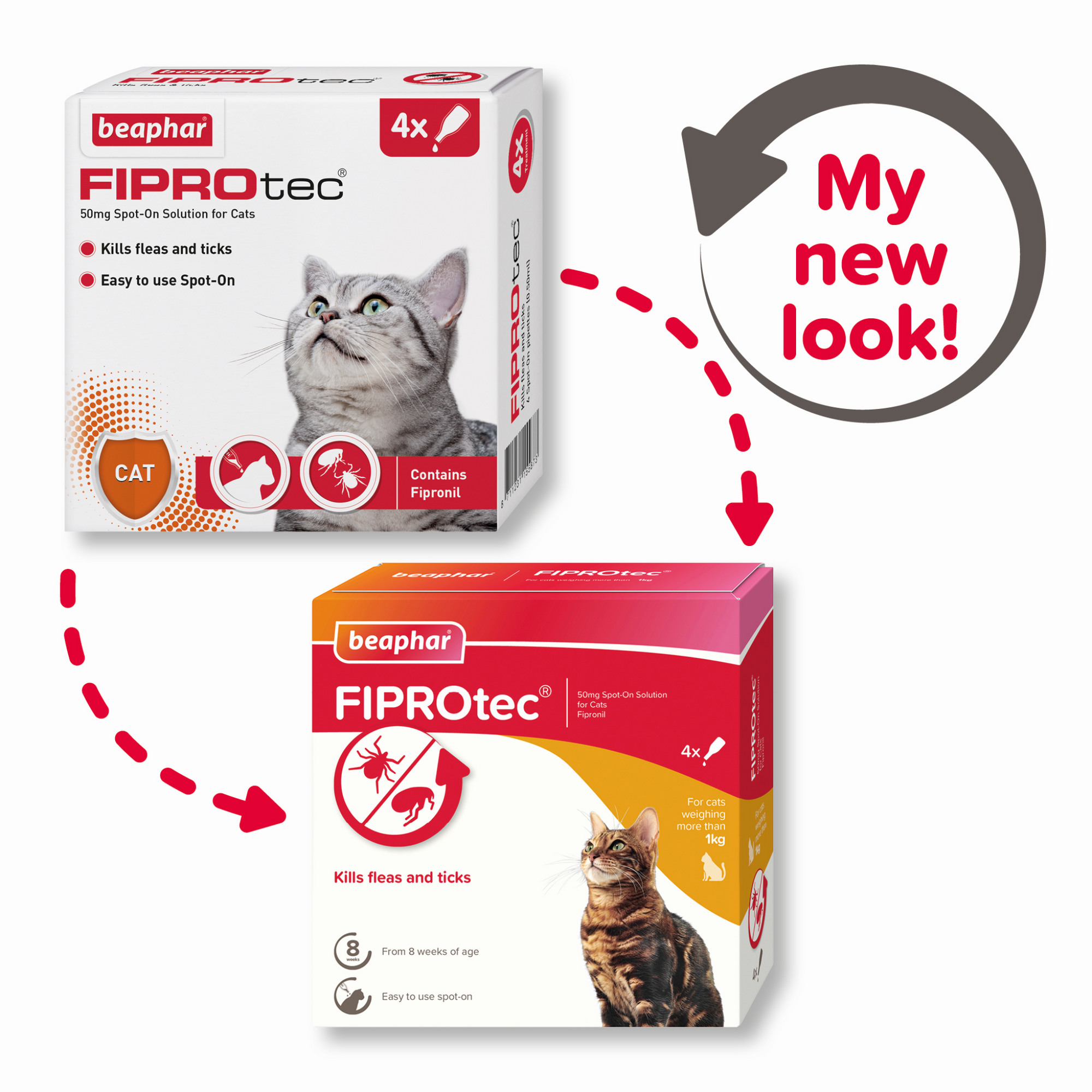 Fiprotec for Cat, 4 Pipettes