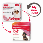 Fiprotec for Small Dog, 4 Pipettes
