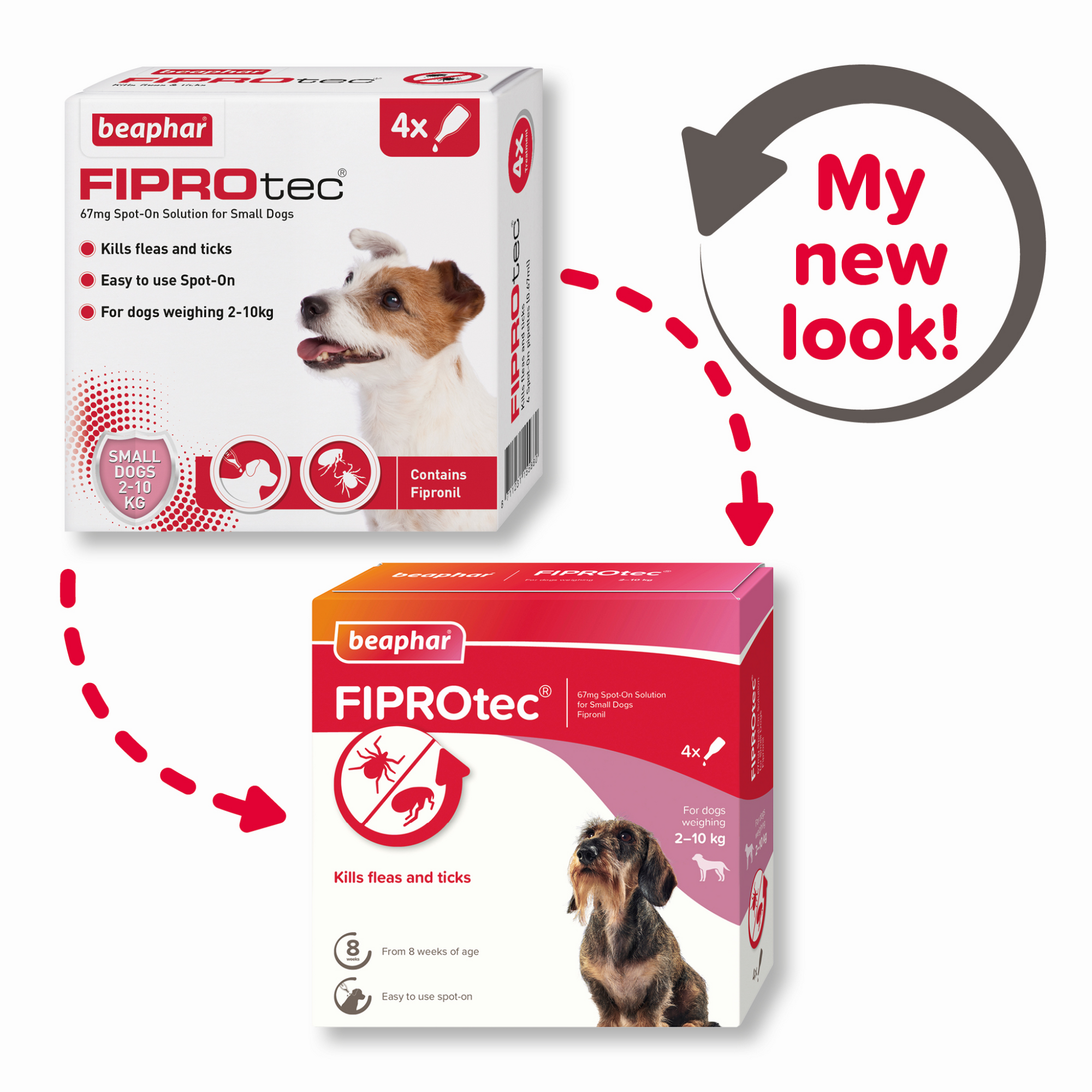 Fiprotec for Small Dog, 4 Pipettes