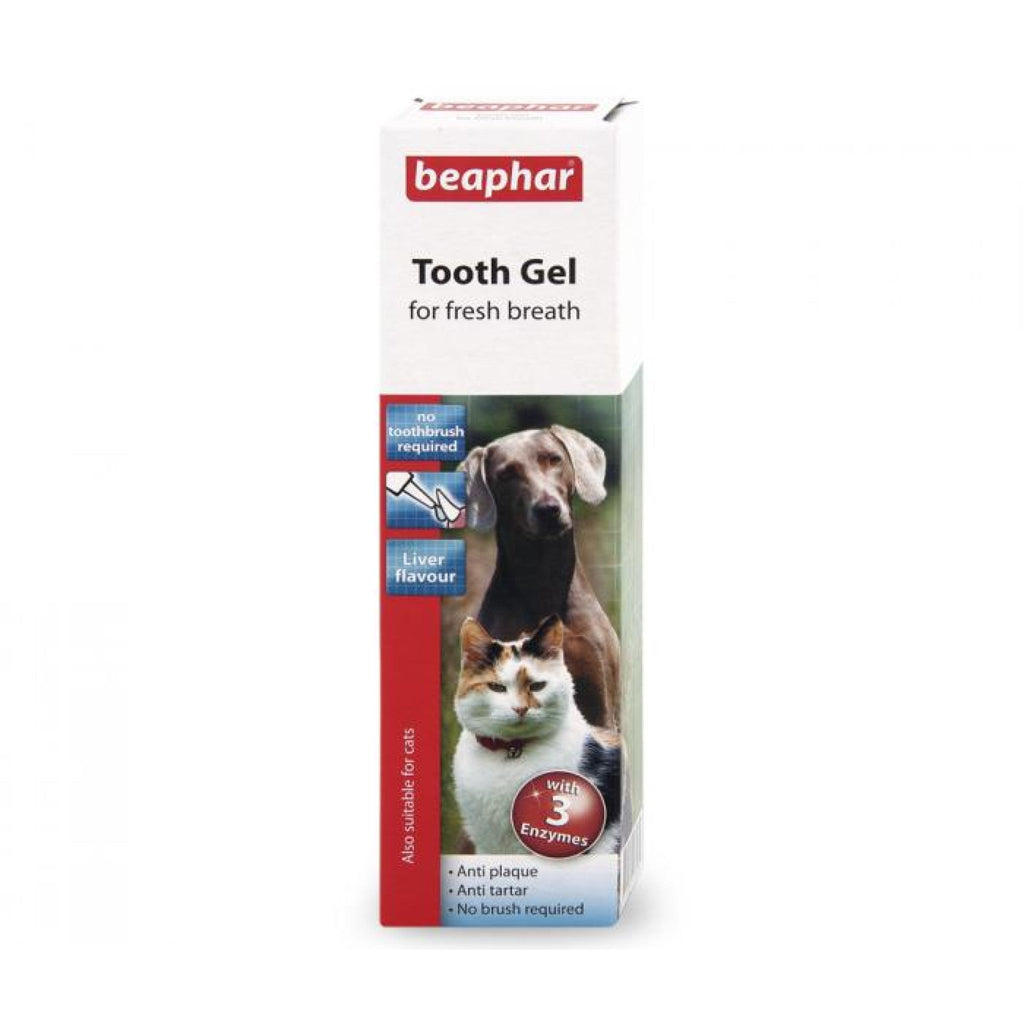 Tooth Gel 100 g