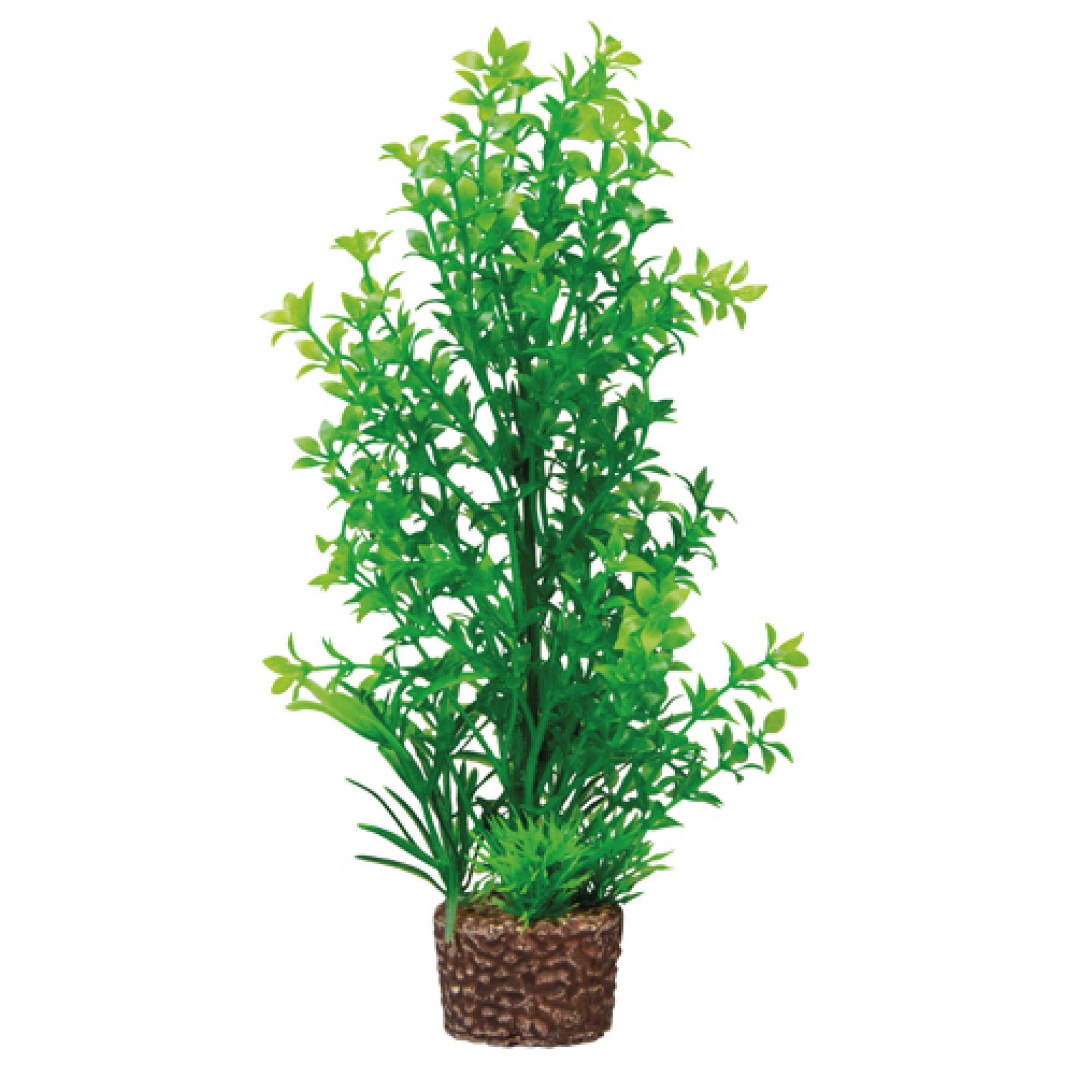 Flora Stone