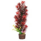 Flora Stone