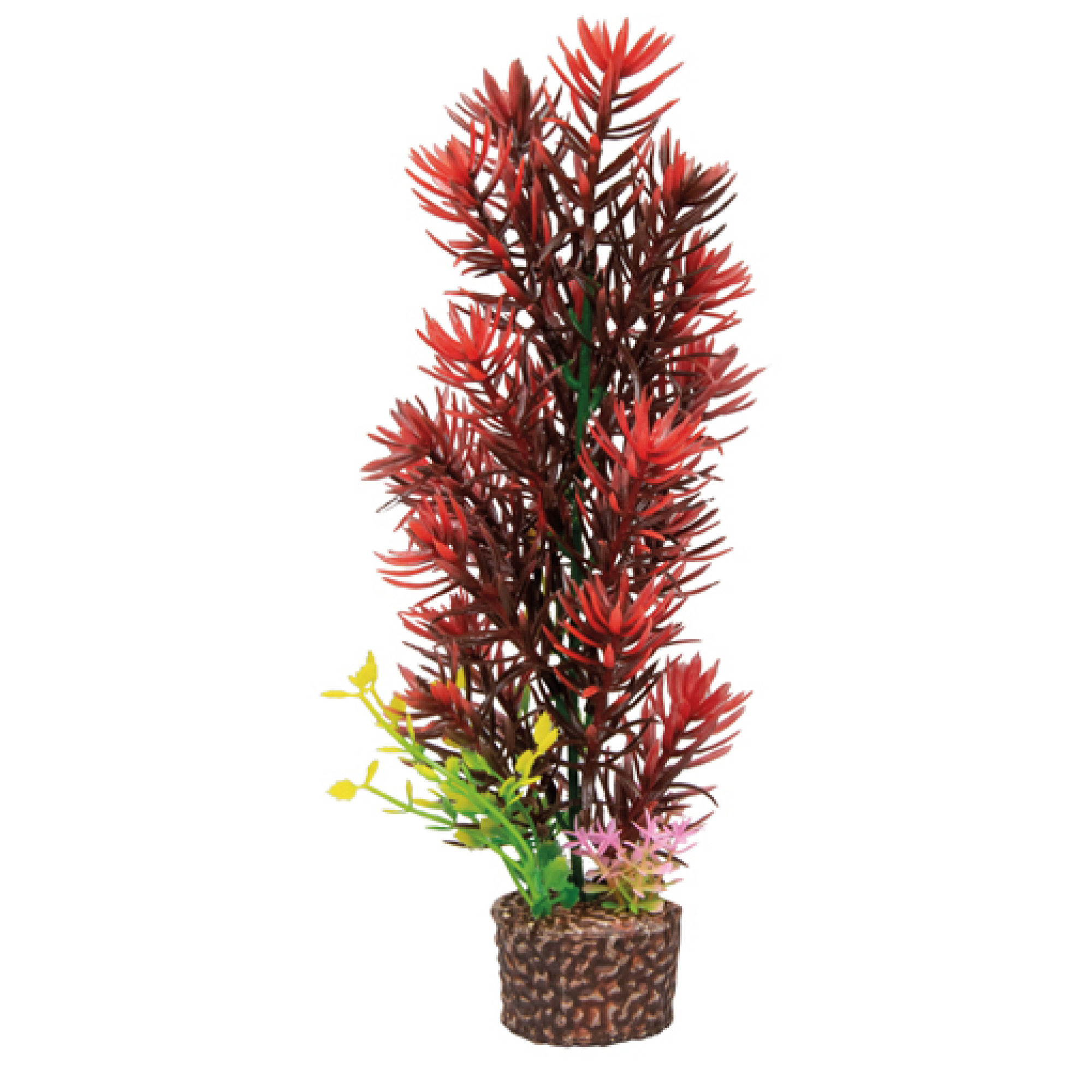 Flora Stone
