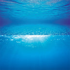 Poster 2 Ocean XLarge, 150x60 cm