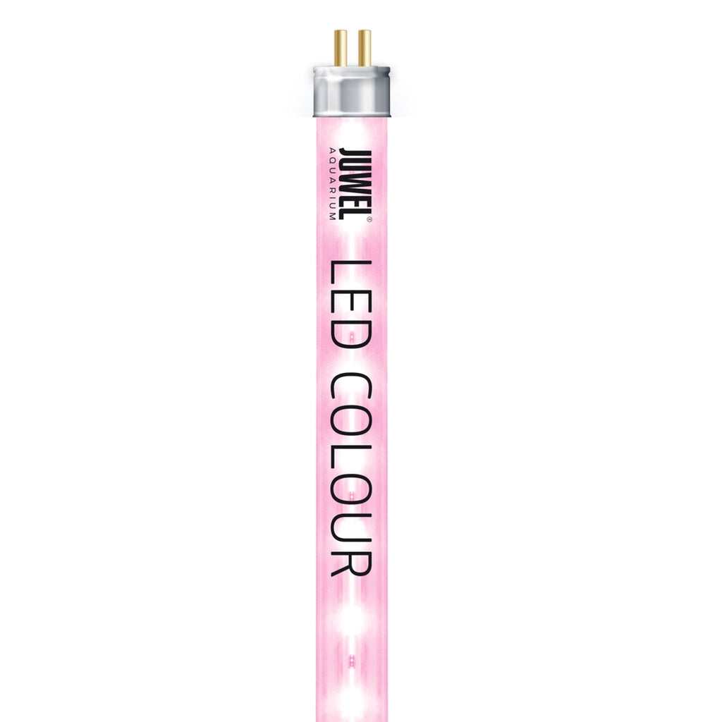 LED Colour 4425K, 895 mm