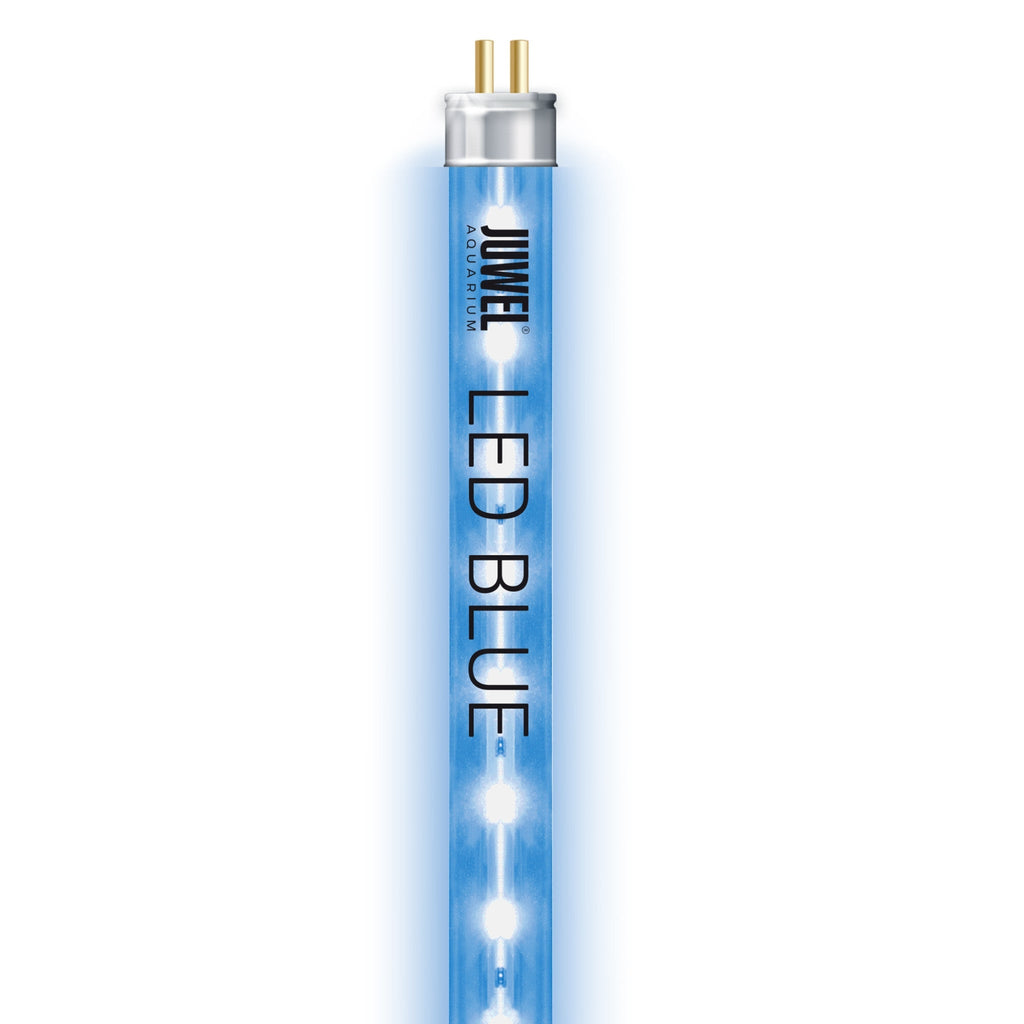 LED Blue 23 W, 895 m