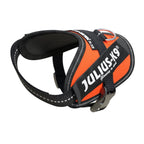 Idc High Visibility Powerharness