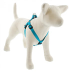 Medium Dog Basics Step In Harness 3/4Inch