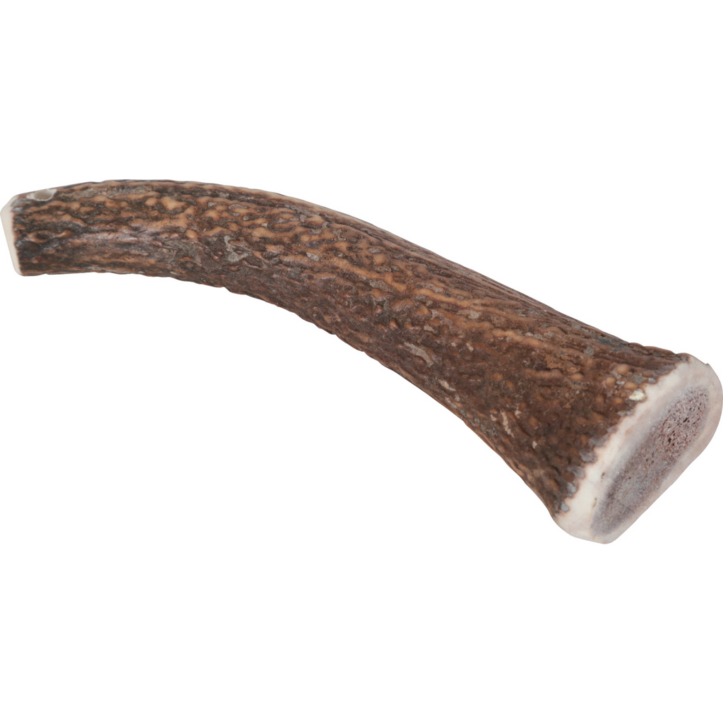 Natural Deer Antler Hard for Dogs Over 20 kg