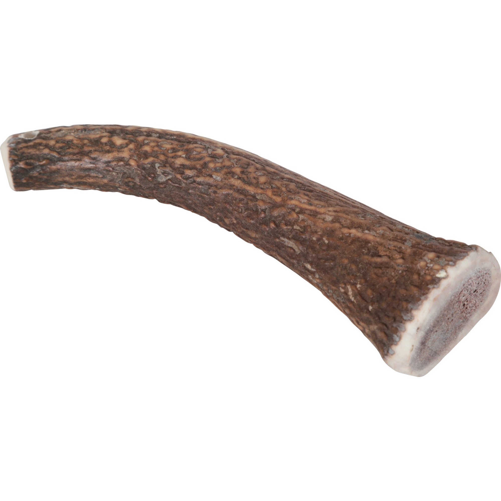 Natural Deer Antler Hard for Dogs Over 20 kg