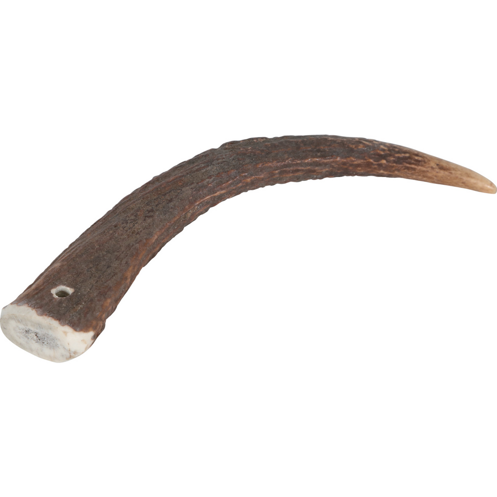 Natural Deer Antler Hard for Dogs Under 15 kg