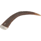 Natural Deer Antler Hard for Dogs Under 15 kg