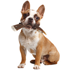 Natural Deer Antler Hard for Dogs Under 15 kg