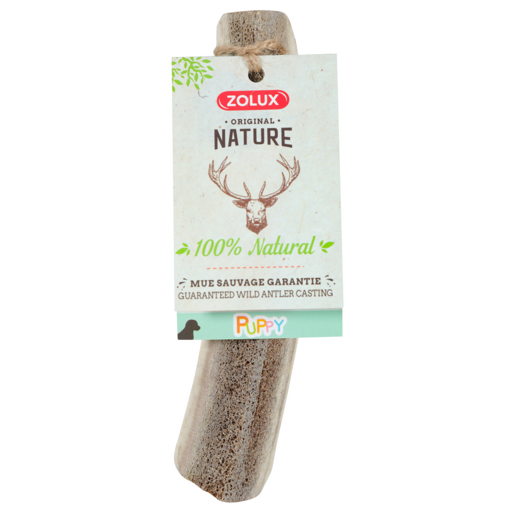 Natural Deer Antler for Puppy
