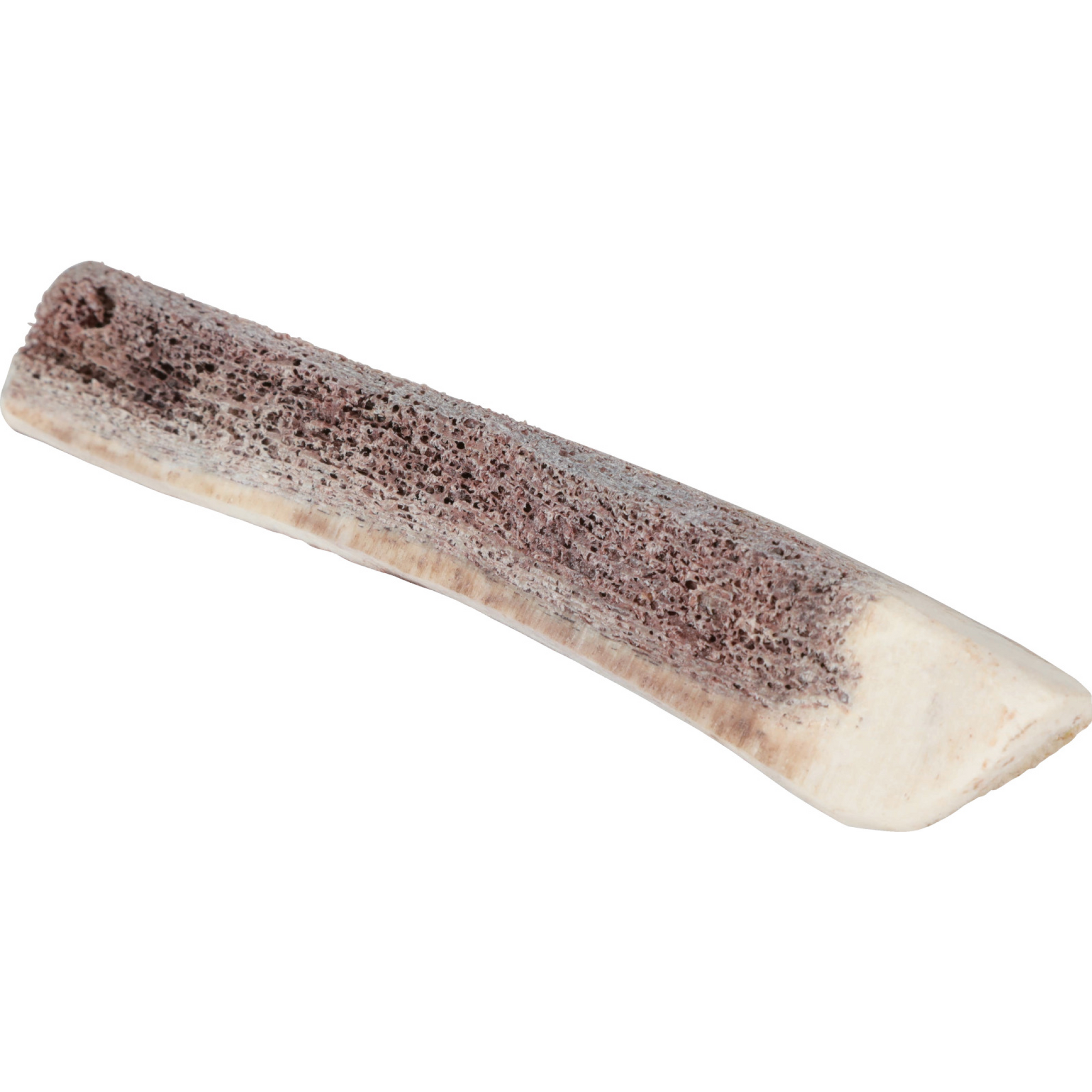 Natural Deer Antler for Puppy