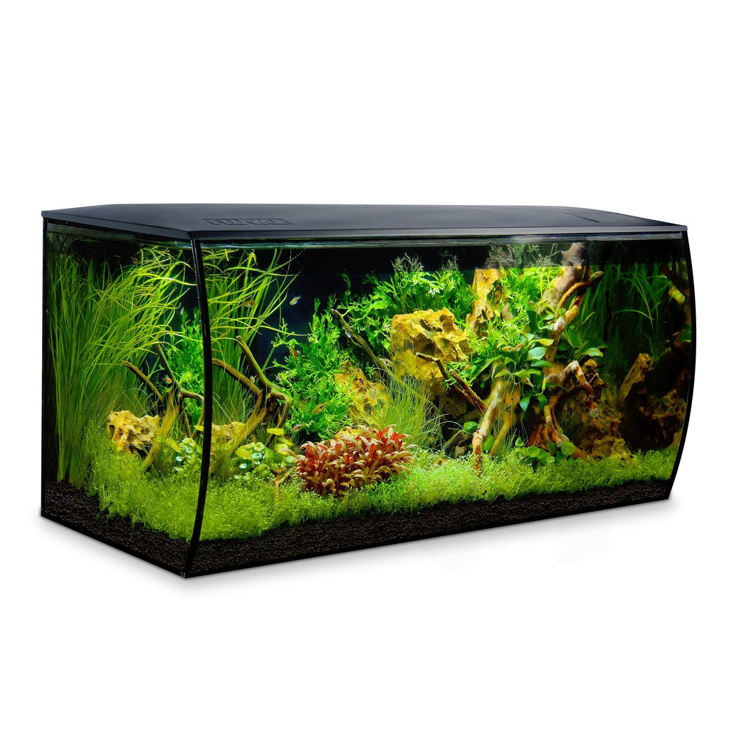Fluval Flex Aquarium Kit