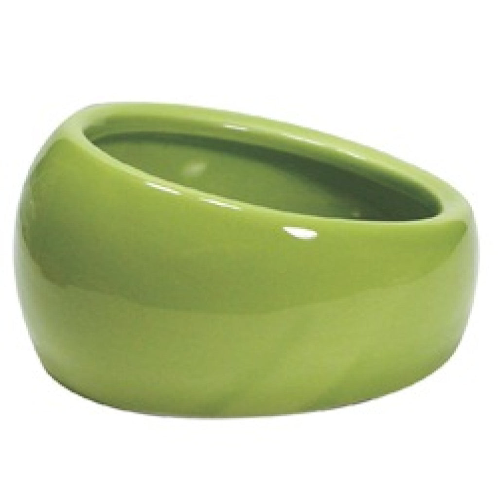 Ergonomic Dish