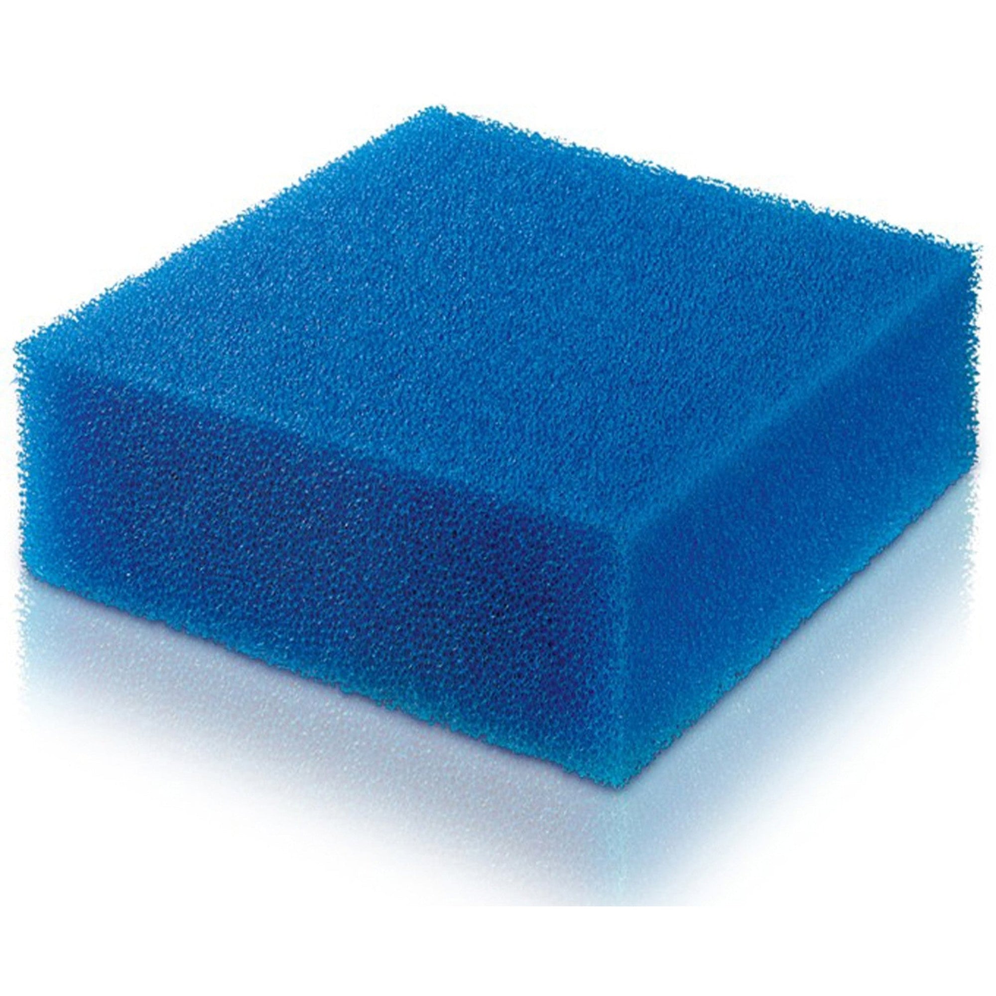 BioPlus Fine Xlarge