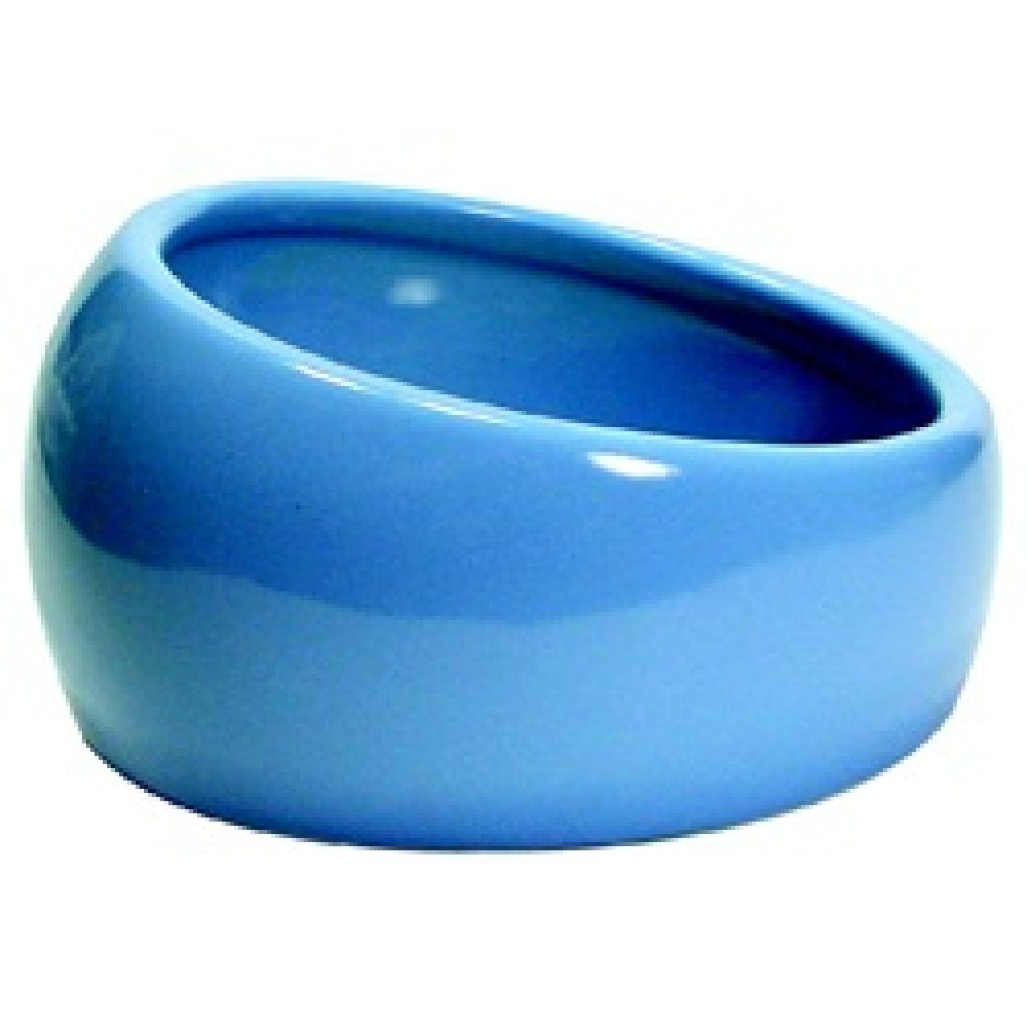 Ergonomic Dish