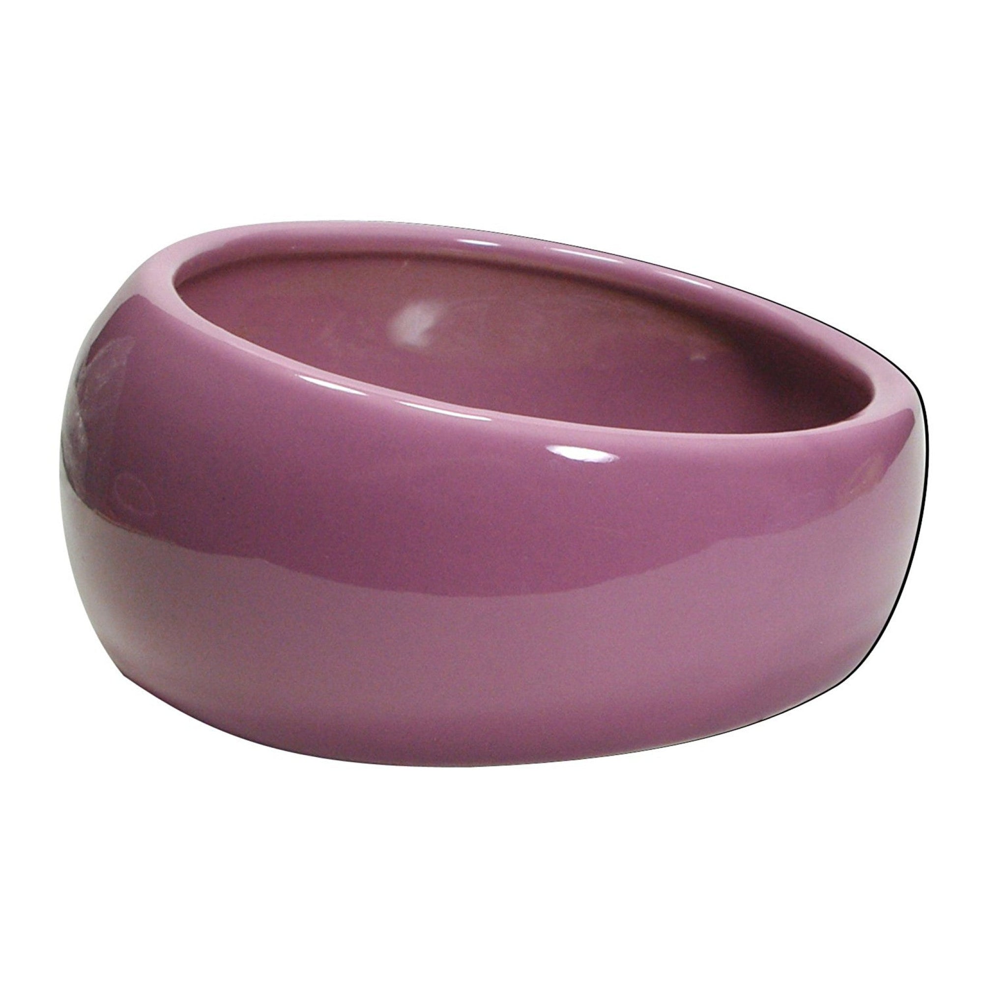 Ergonomic Dish