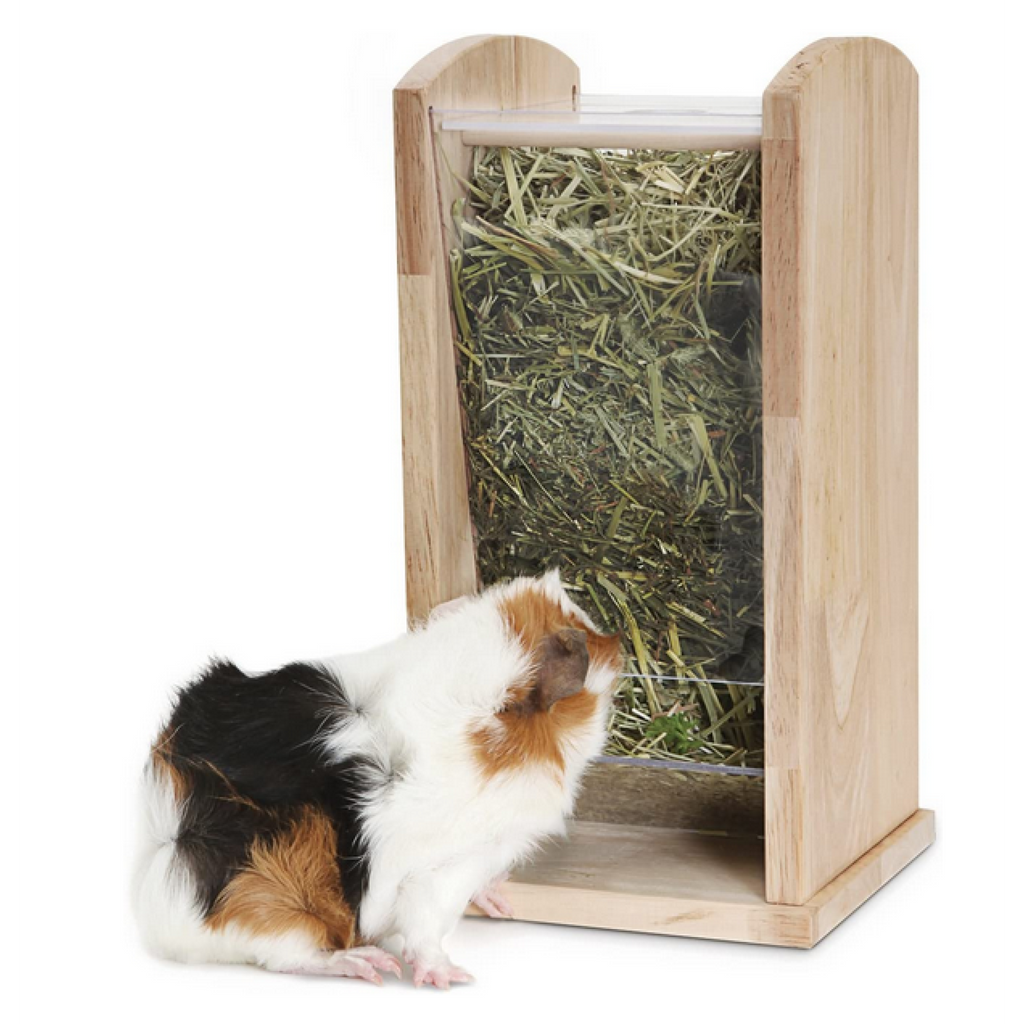 Living World Green Wood & Acrylic Hay Rack Small | Eco-Friendly ...