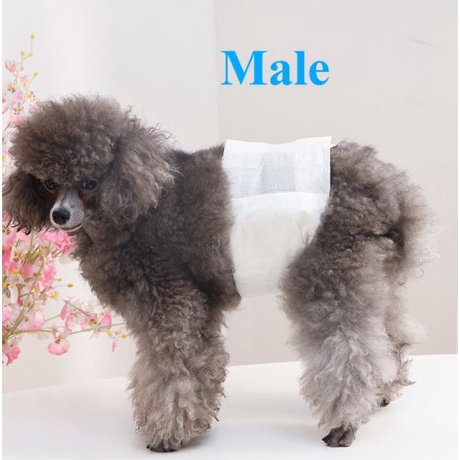PURRY Ultra Absorbent Pet Diapers – 42*66cm