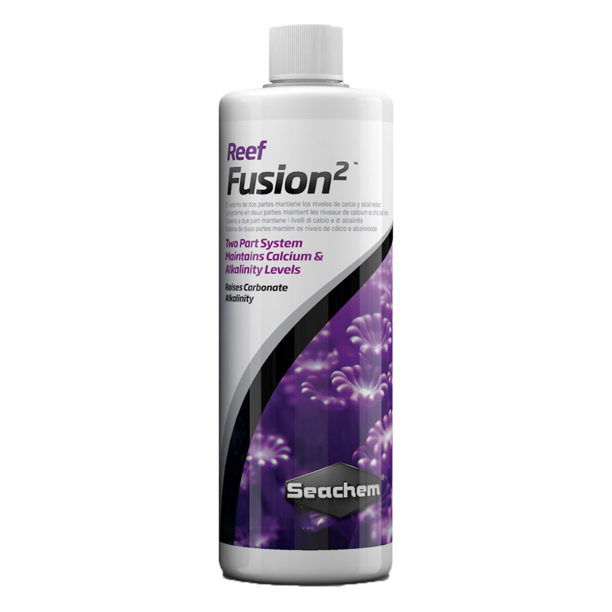 Reef Fusion