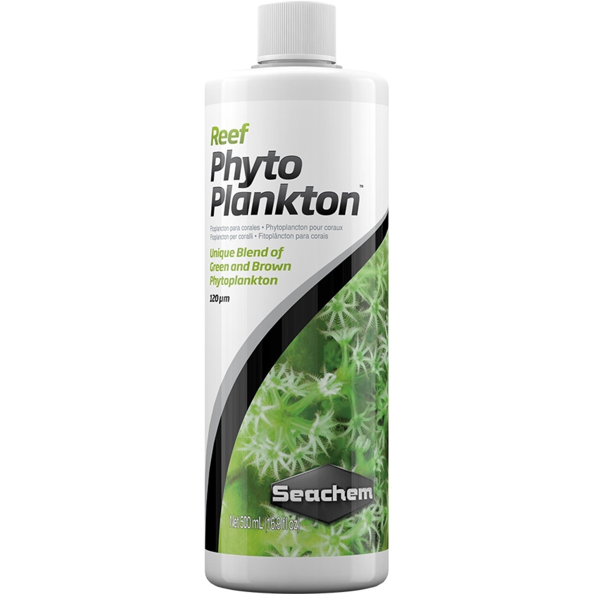 Reef Phytoplankton