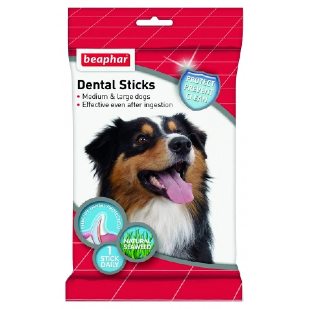 Dental Sticks for Medium & Large Dogs