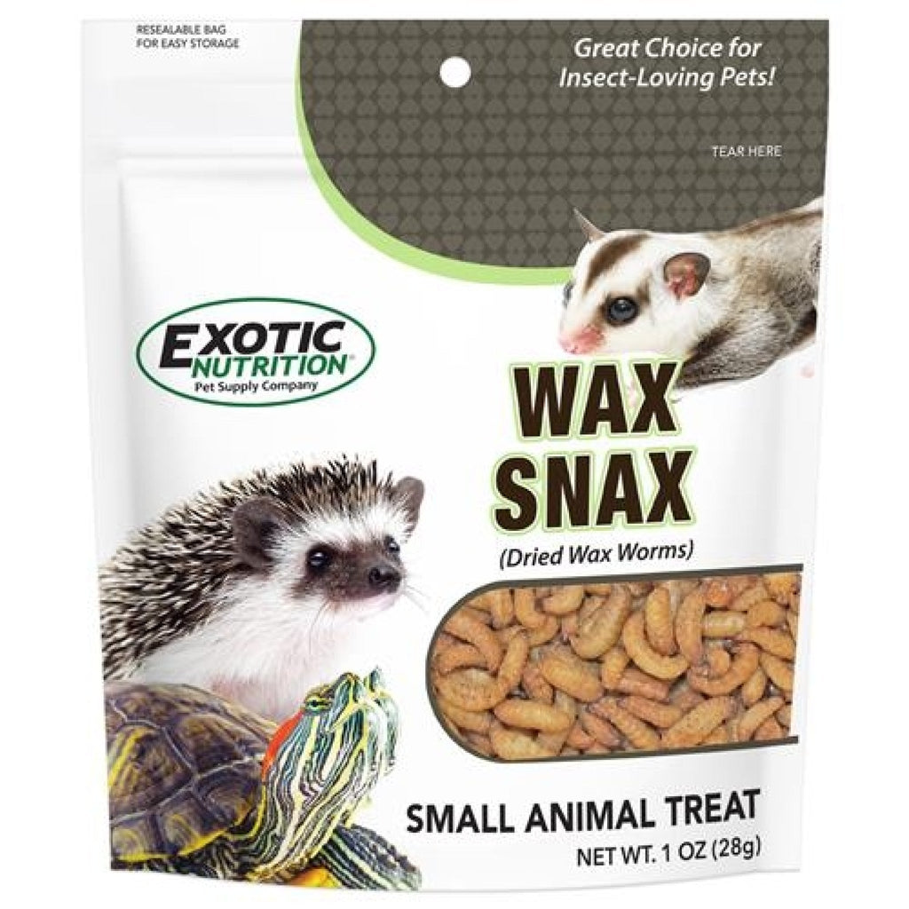 Wax Snax Dried Wax Worms 1 oz