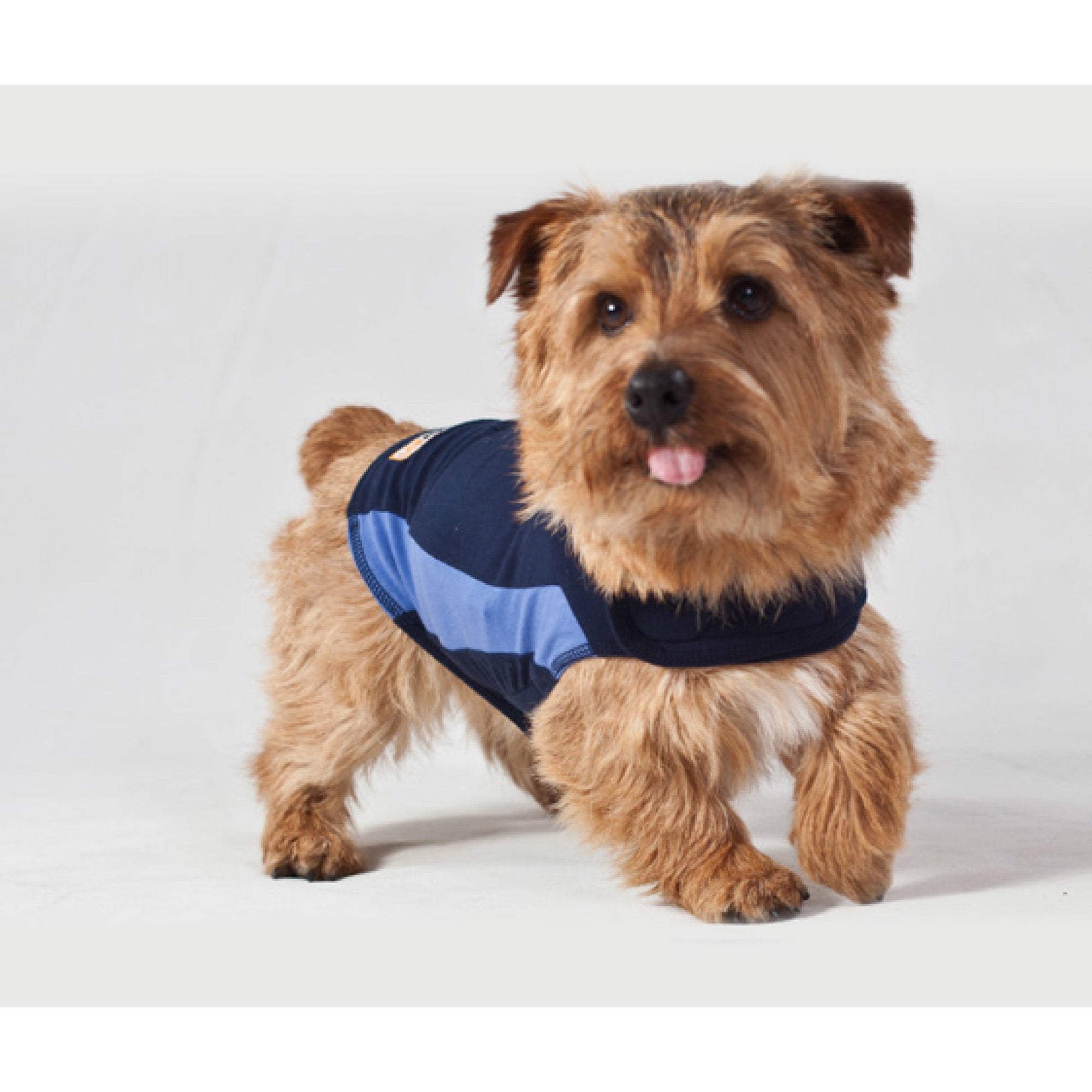 Thundershirt Dog Blue, 2XSmall