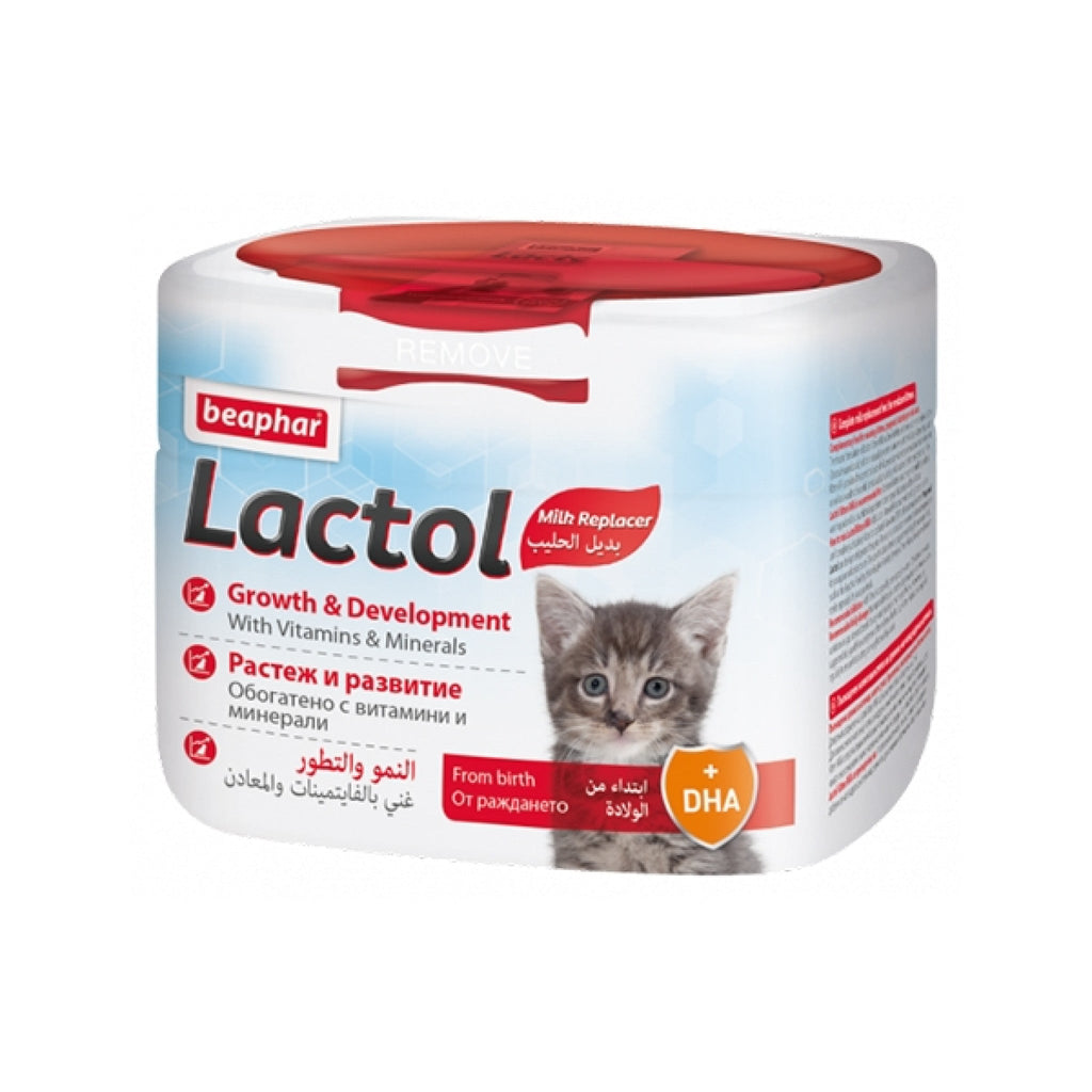 Lactol Kitten