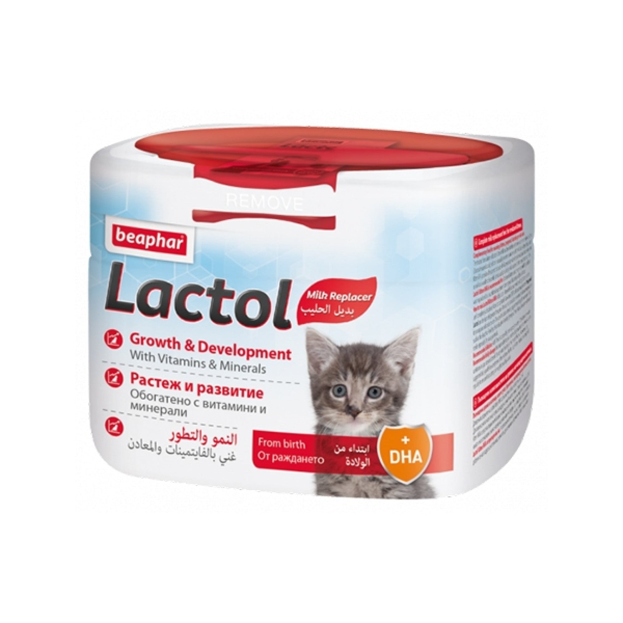Lactol Kitten