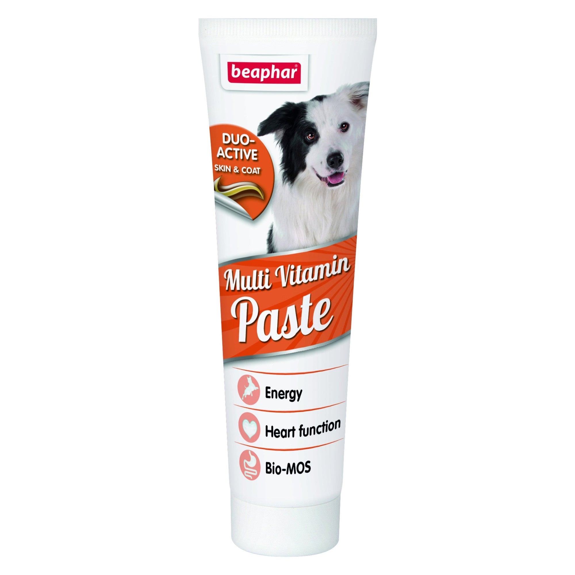 Duo Active Paste Multivitamin Dog 100 g