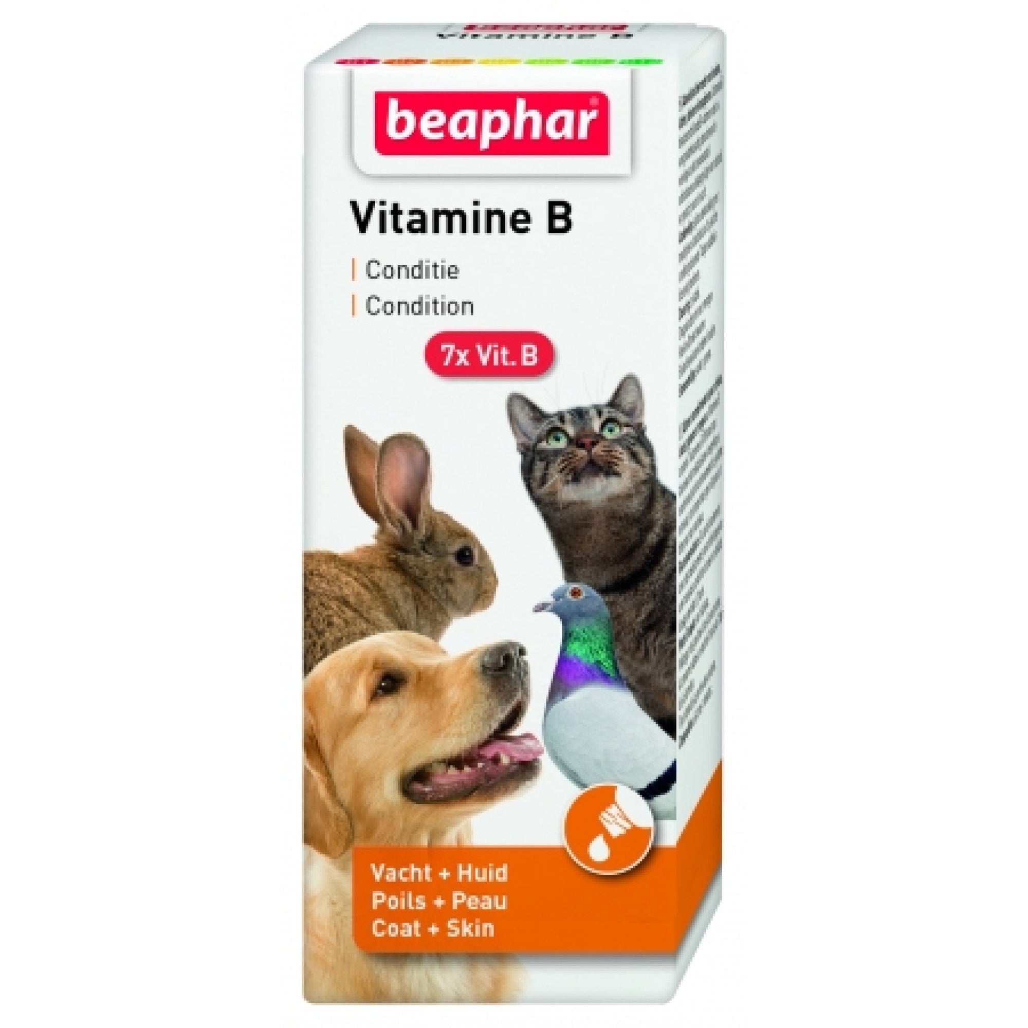 Vitamin B Complex 50 ml