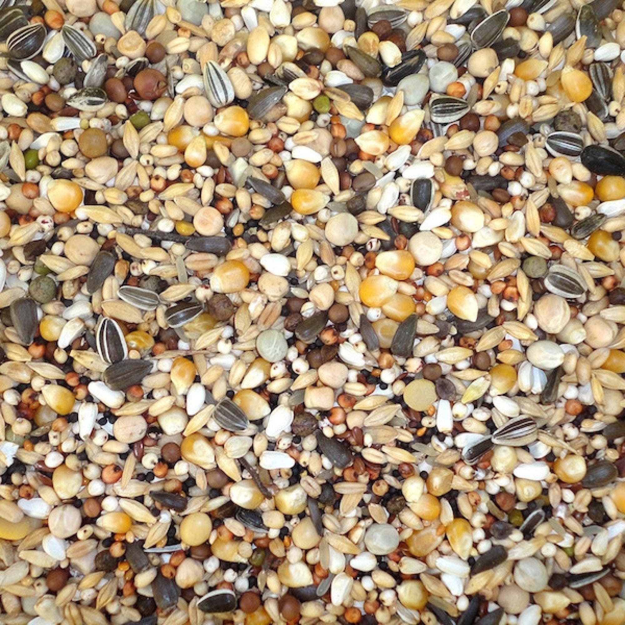 Moulting Diet 20 kg