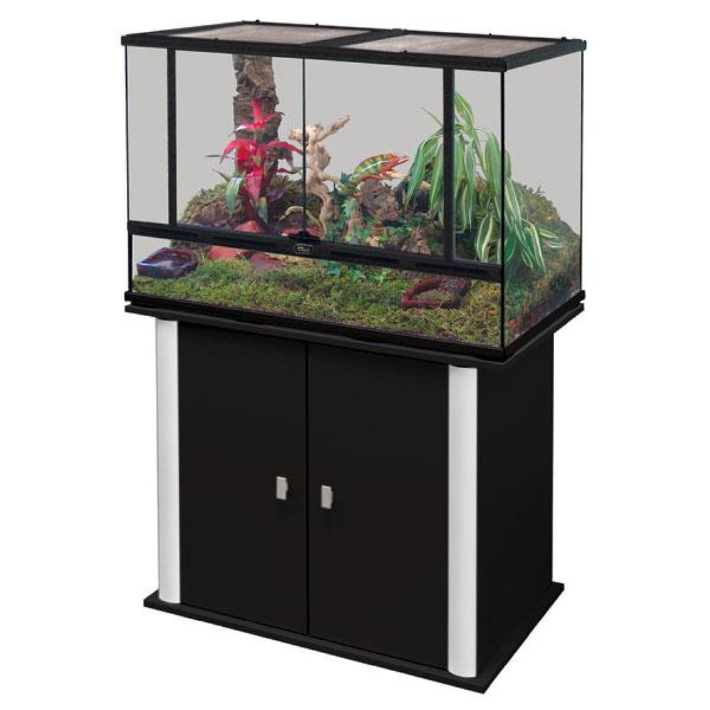 Glass Terrarium
