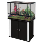 Glass Terrarium