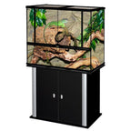 Glass Terrarium