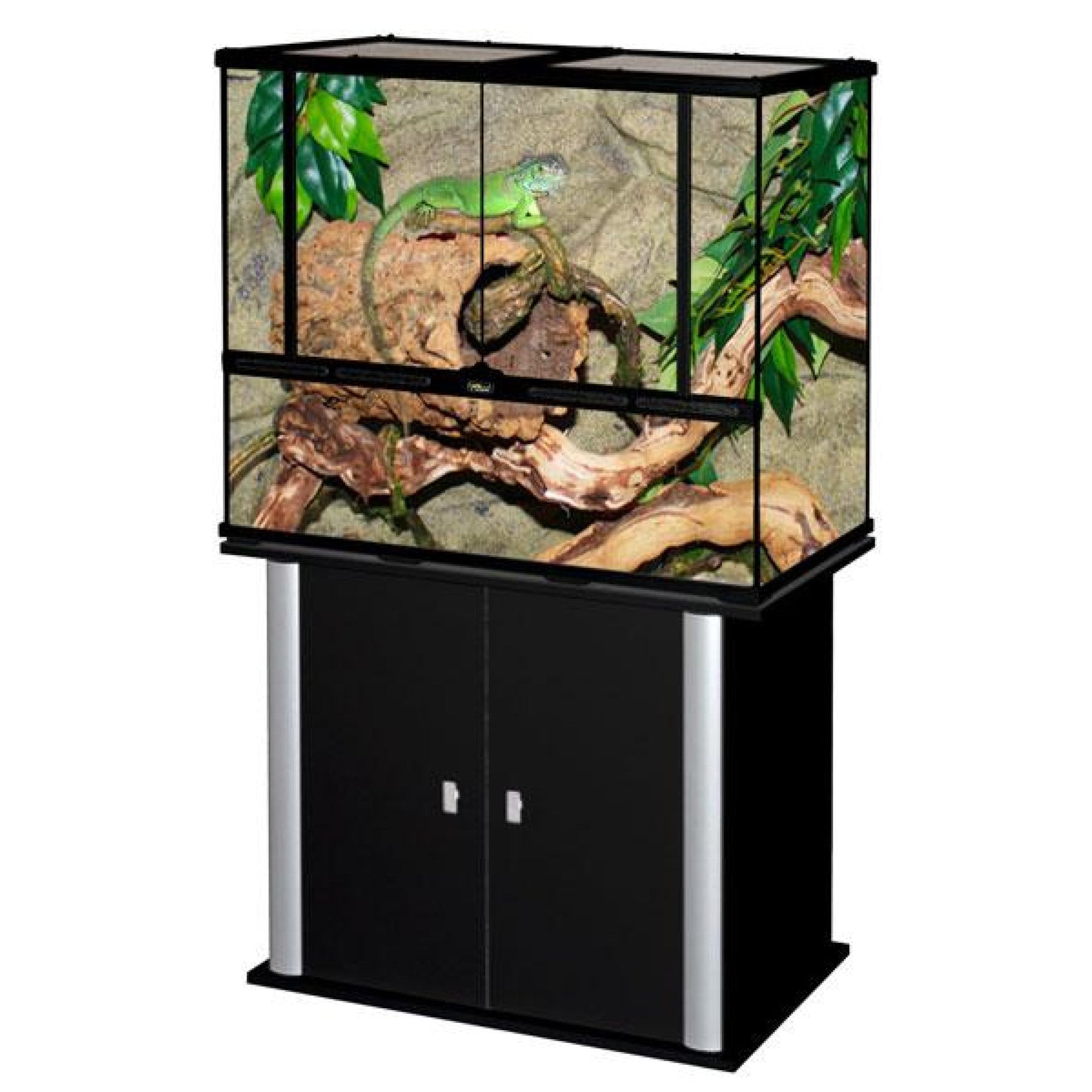 Glass Terrarium